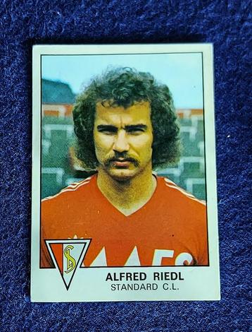 Panini sticker voetbal ' FB 1978 - Alfred Riedl ' - nieuw- beschikbaar voor biedingen