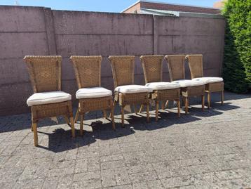 Rotan stoelen  beschikbaar voor biedingen