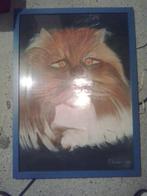 grote kader schilderij poes kat, Antiek en Kunst, Ophalen of Verzenden