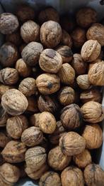 okkernoten overjaars, Ophalen