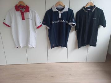 3x Colnago shirts, limited edition beschikbaar voor biedingen