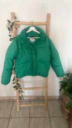 Leuke jas america today, Kleding | Dames, Jassen | Winter, Ophalen of Verzenden, Maat 36 (S), America Today, Gedragen