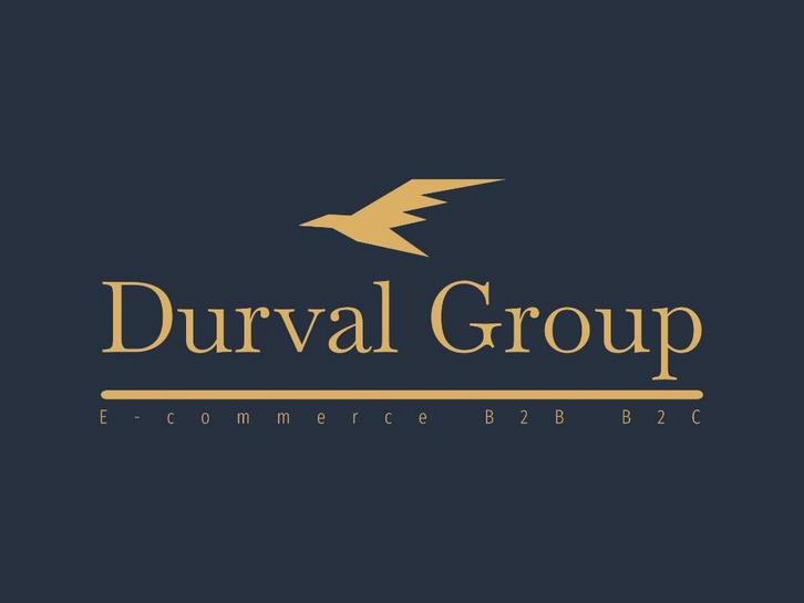 Kant en klare Webshop te koop, Zakelijke goederen, Exploitaties en Overnames