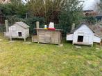 Te koop 3 kippenhokken + toebehoren, Dieren en Toebehoren, Ophalen, Gebruikt, Kippenhok of Kippenren