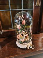 Glazen stolp, Huis en Inrichting, Woonaccessoires | Stolpen, Ophalen, Zo goed als nieuw