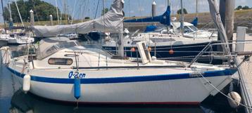 Gezelschap boot gezocht beschikbaar voor biedingen