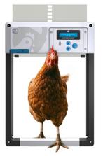 ChickenGuard all in one kippenhokopener, Animaux & Accessoires, Autres types, Enlèvement, Neuf