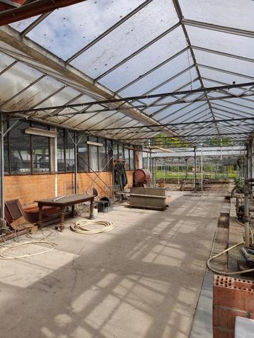 Serre dak glas, spanten + palen, Tuin en Terras, Gebruikt, Kweekkas, Glas, Ophalen