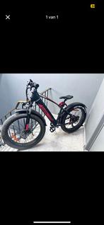 Elektrische fiets bike tank rolle, Fietsen en Brommers, Ophalen