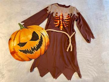 Kostuum Enge Pompoen - Maat 110 beschikbaar voor biedingen