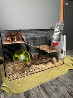 Knaagdierkooi, Dieren en Toebehoren, Hamster, 60 tot 90 cm, Kooi, Minder dan 75 cm