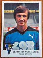 Panini Football 78 nr 135 Verheecke, pièce rare non utilisée, Enlèvement ou Envoi, Comme neuf, Autocollant