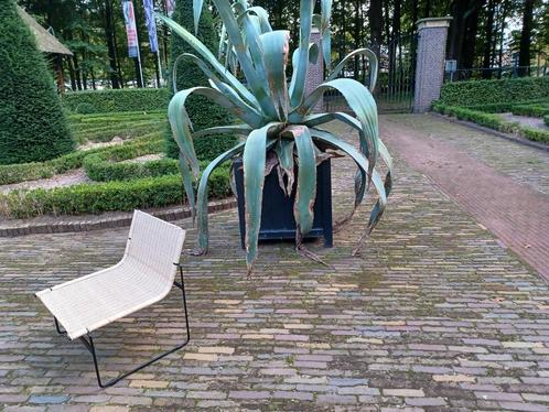 Gregorio Vicente Cortes, Huis en Inrichting, Fauteuils, Zo goed als nieuw, Metaal, Riet of Rotan, 50 tot 75 cm, Minder dan 75 cm