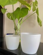 Pot à fleurs orchidées ou autres (Lot), Intérieur, Autres matériaux, Rond, Enlèvement