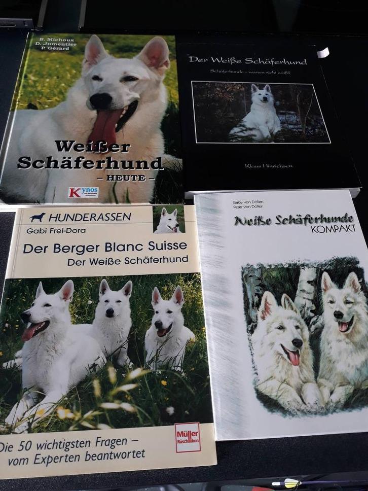 Lot Duitstalige boeken witte herdershond - ook apart, Boeken, Dieren en Huisdieren, Zo goed als nieuw, Honden, Ophalen