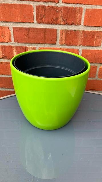 Grote bloempot beschikbaar voor biedingen