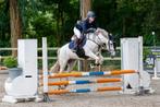Ruiter aangeboden!, Dieren en Toebehoren, Paarden