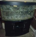 Aquarium Juwel, Enlèvement, Utilisé, Aquarium vide