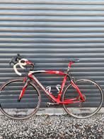 Pinarello carbone 30HM12K – idéal débutant, Vélos & Vélomoteurs, Autres marques, 10 à 15 vitesses, Enlèvement, Hommes