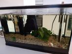 Aquarium 40 x 20 x 25 cm (+ filter/pomp + verwarming), Dieren en Toebehoren, Ophalen, Gebruikt, Leeg aquarium