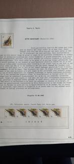 Andre Buzin  Witte Kwikstaart   postfris, Postzegels en Munten, Ophalen of Verzenden