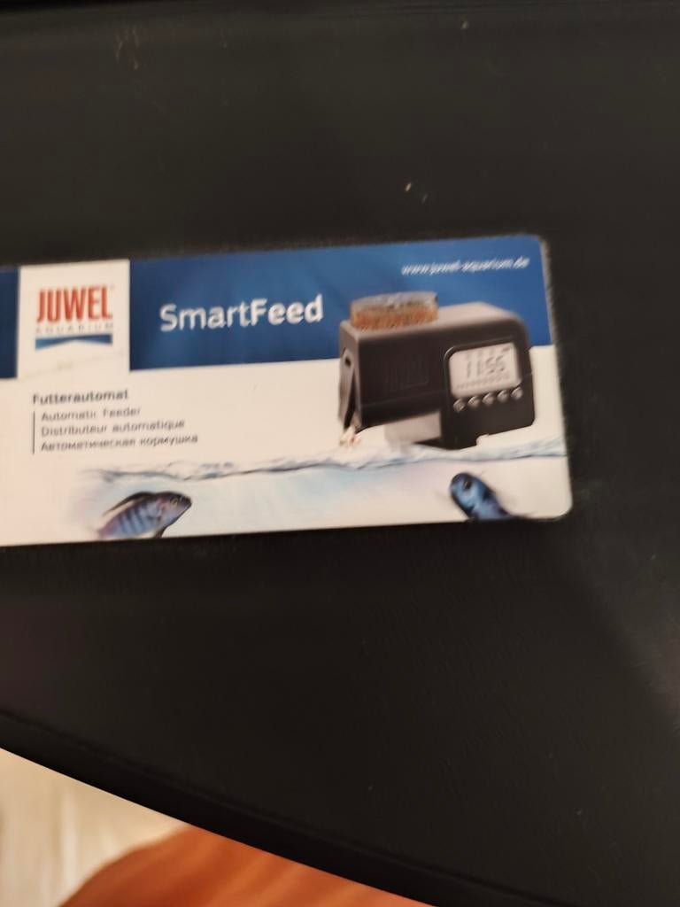 Affaire à ne pas rater, Animaux & Accessoires, Poissons | Aquariums & Accessoires, Enlèvement, Neuf, Aquarium vide