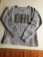 Pull gris à imprimé animalier M. 122 Marque : Zara, Enlèvement ou Envoi, Pull ou Veste, Comme neuf, Zara Girls