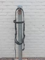 Hoofdstel Rambo Micklem maat cob, Dieren en Toebehoren, Ophalen, Zo goed als nieuw, Springen