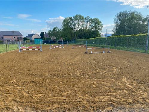 Verhuur piste, Dieren en Toebehoren, Stalling en Weidegang