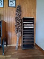 Gedroogde Yucca bloemstengel 160 cm, Ophalen