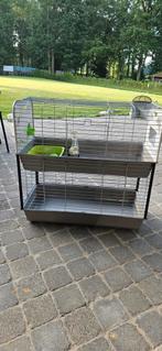 Konijnen/cavia hok 2-verdiep, Dieren en Toebehoren, Ophalen, Gebruikt, Hok, Cavia