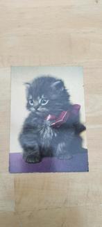 Postkaart kat, Ophalen of Verzenden, Gelopen, Hond of Kat