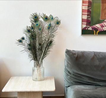 Pauwenveren beschikbaar voor biedingen