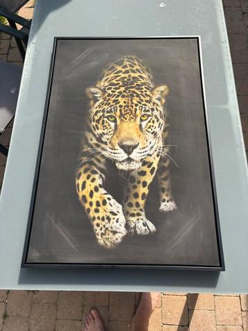 Tijger print  beschikbaar voor biedingen