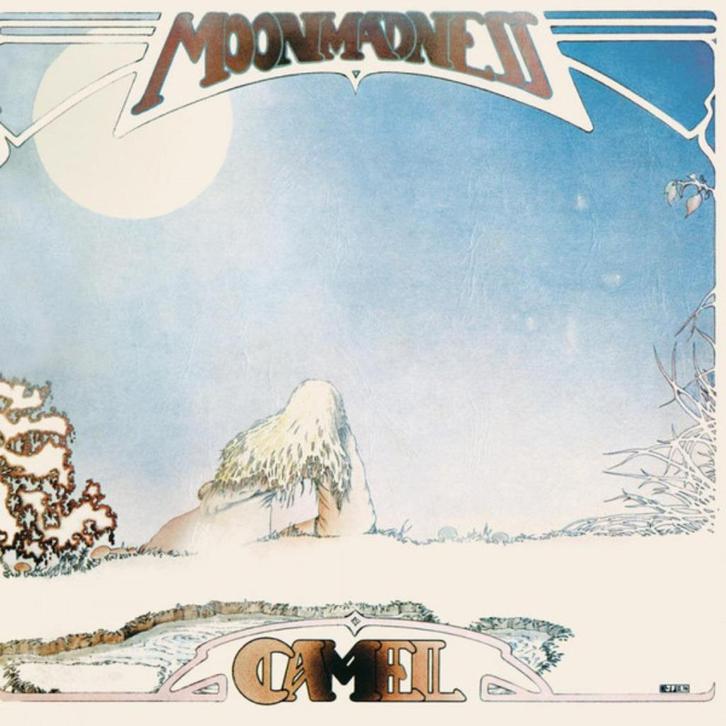 CHAMEAU « MOONMADNESS », CD & DVD, CD | Rock, Comme neuf, Progressif, Enlèvement