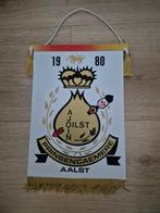 Carnaval Aalst wimpel De Prinsencaemere 1980, Diversen, Ophalen of Verzenden