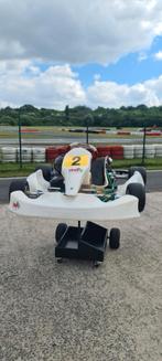 Tony kart met rotax, Sport en Fitness, Karting, Ophalen, Zo goed als nieuw, Kart