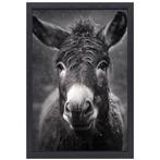 Zwart wit ezel canvas + baklijst 50x70cm, Nieuw, Verzenden