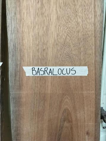Basralocus hardhout