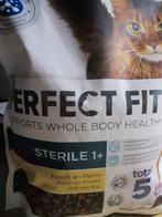 kattenbrokken, Enlèvement ou Envoi, Chat