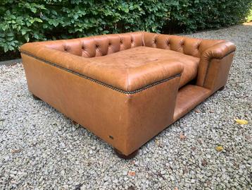 Uniek Echt leren Engelse chesterfield luxe Hondenmand  disponible aux enchères