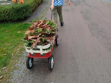 bolderkar  beschikbaar voor biedingen