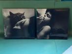 Vintage kunstdrukken UCB Isonox – set van 2 fotoprints, Ophalen of Verzenden