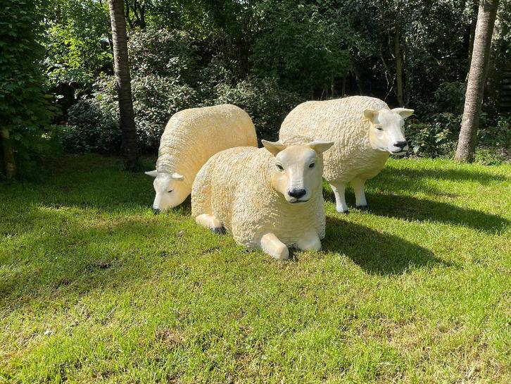 3 x Texel schaap, eye catcher tuin, boerderij 100cm, Tuin en Terras, Tuinbeelden, Nieuw, Dierenbeeld, Kunststof, Ophalen