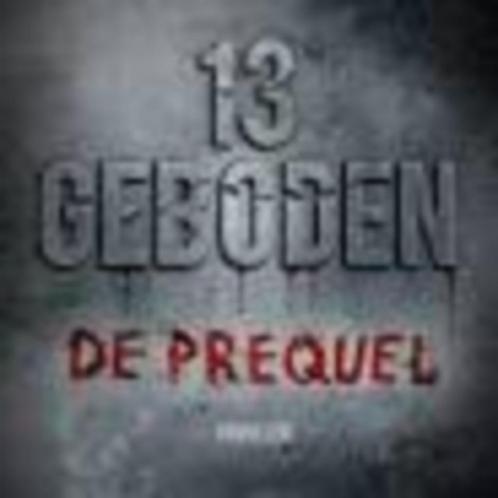 13 geboden de prequel Bogaerts 317 blz, Boeken, Thrillers, Zo goed als nieuw, Ophalen of Verzenden