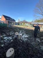 Ik vel gratis bomen in ruil voor brandhout, Enlèvement