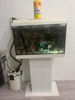 Aquarium te koop met meubel 12€, Dieren en Toebehoren, Vissen | Aquaria en Toebehoren, Ophalen, Zo goed als nieuw
