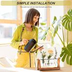 Plantenterrarium met houten standaard | GRATIS LEVERING, Envoi, Autres espèces