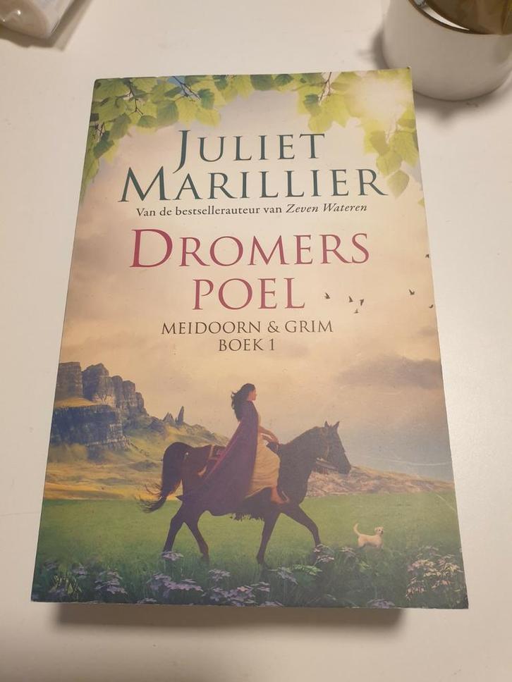 Juliet Marillier - Dromerspoel. MEIDOORN & GRIM BOEK 1, Boeken, Fantasy, Zo goed als nieuw, Ophalen of Verzenden