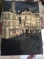 (franstalig) Artis boek : kastelen Loire, Ophalen of Verzenden